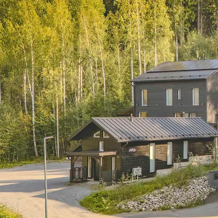 Pikkuleijona Ferienhaus Himos