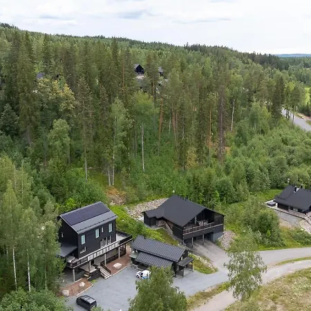 Pikkuleijona Loma-asunnot Himos