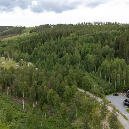 Ferienhaus Pikkuleijona *