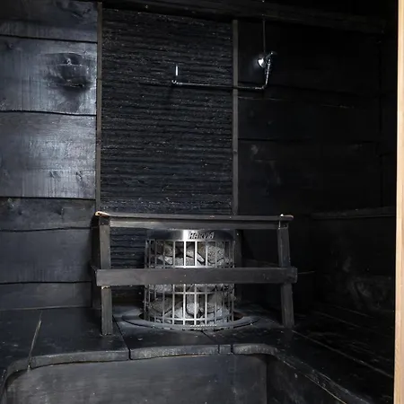 Pikkuleijona Ferienhaus Himos